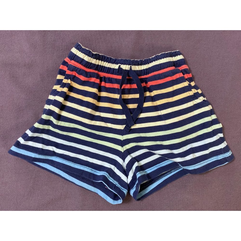 NWOT Rainbow Shorts